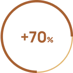 grafico circular com 70%